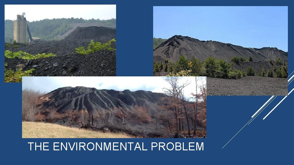 THE ENVIRONMENTAL PROBLEM 