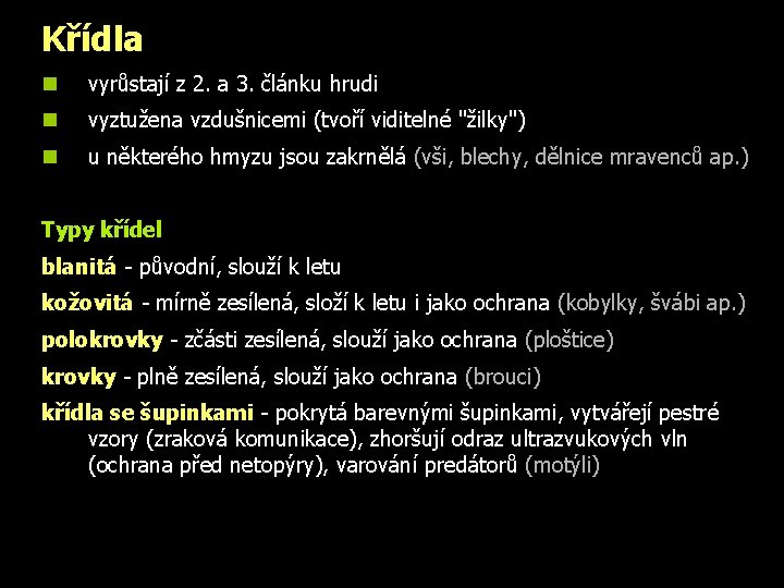 Křídla n vyrůstají z 2. a 3. článku hrudi n vyztužena vzdušnicemi (tvoří viditelné