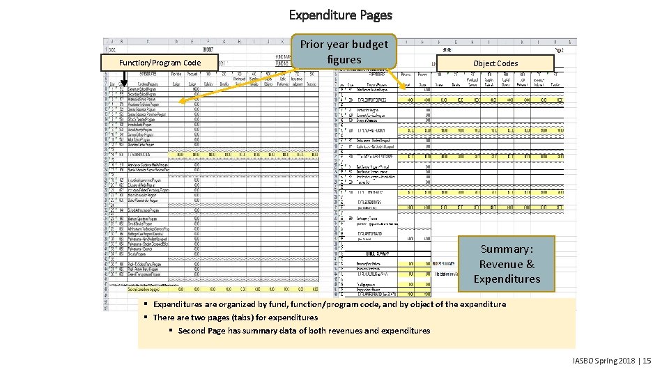 Expenditure Pages Function/Program Code Prior year budget figures Object Codes Summary: Revenue & Expenditures