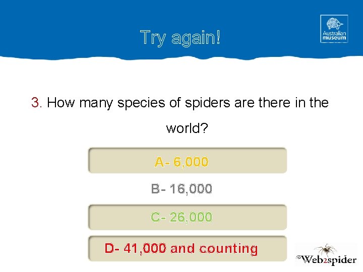 Try again! 3. How many species of spiders are there in the world? A-