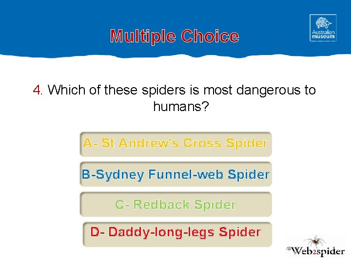 Multiple Choice 4. Which of these spiders is most dangerous to humans? A- St