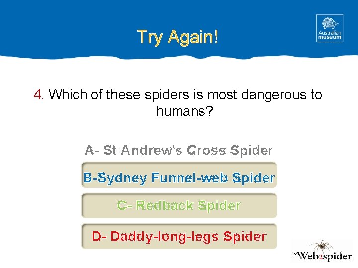 Try Again! 4. Which of these spiders is most dangerous to humans? A- St