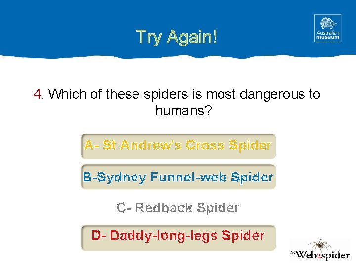 Try Again! 4. Which of these spiders is most dangerous to humans? A- St