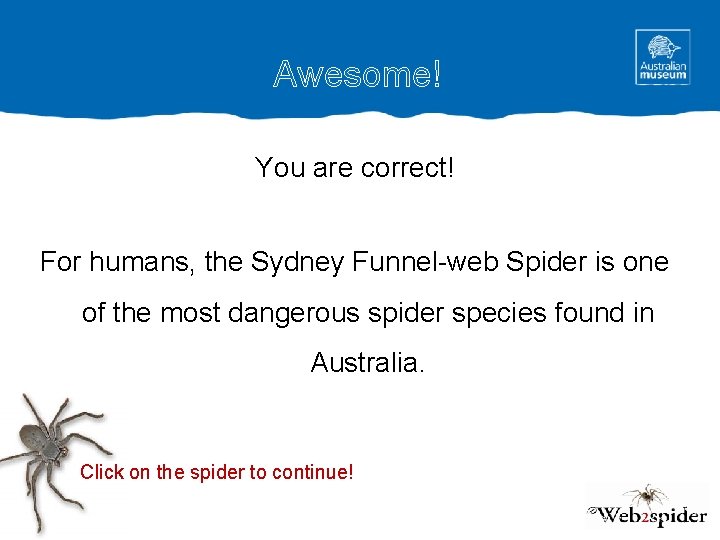 Awesome! You are correct! For humans, the Sydney Funnel-web Spider is one of the