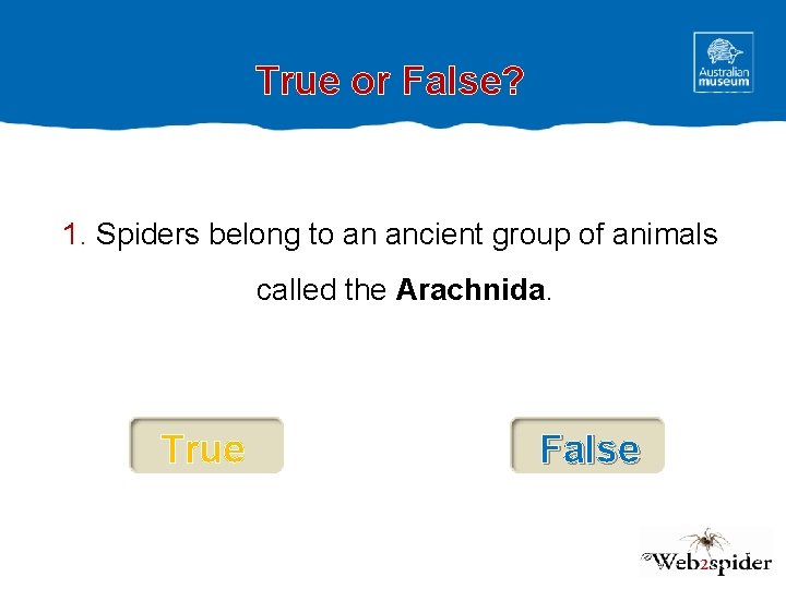 True or False? 1. Spiders belong to an ancient group of animals called the