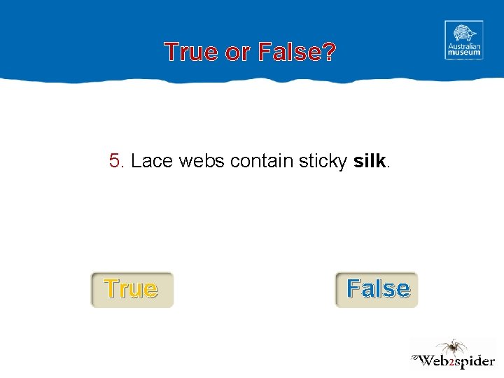 True or False? 5. Lace webs contain sticky silk. True False 