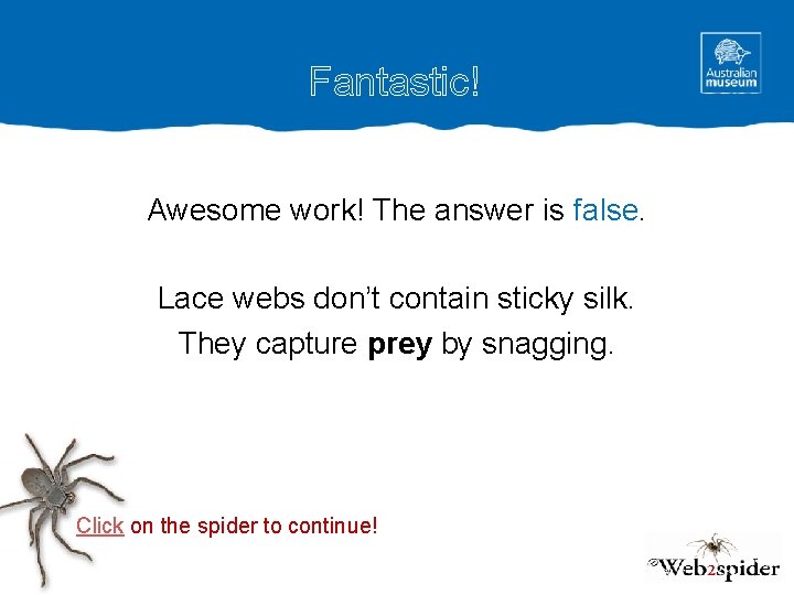 Fantastic! Awesome work! The answer is false. Lace webs don’t contain sticky silk. They