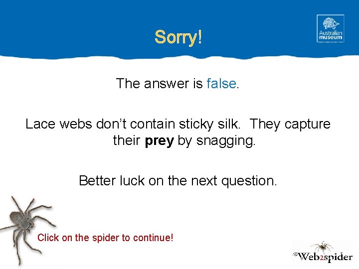 Sorry! The answer is false. Lace webs don’t contain sticky silk. They capture their