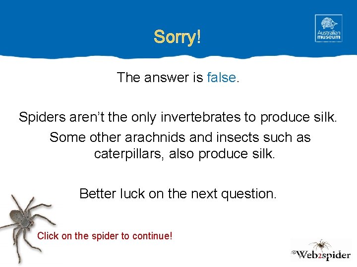 Sorry! The answer is false. Spiders aren’t the only invertebrates to produce silk. Some