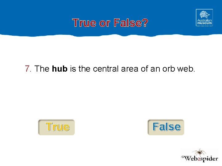 True or False? 7. The hub is the central area of an orb web.