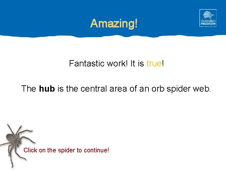 Amazing! Fantastic work! It is true! The hub is the central area of an