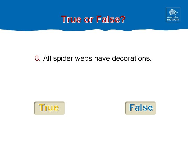 True or False? 8. All spider webs have decorations. True False 