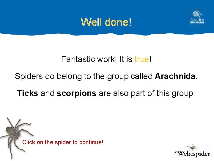 Well done! Fantastic work! It is true! Spiders do belong to the group called