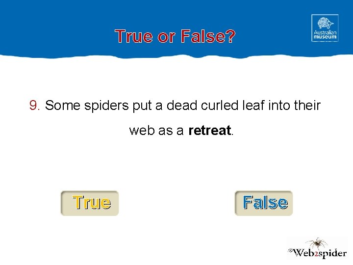 True or False? 9. Some spiders put a dead curled leaf into their web