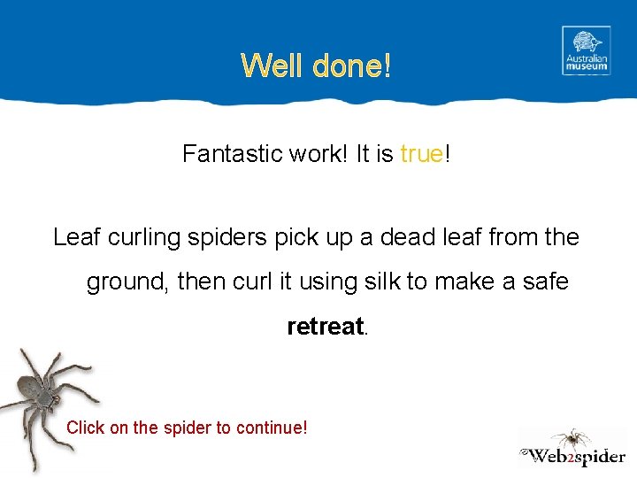 Well done! Fantastic work! It is true! Leaf curling spiders pick up a dead
