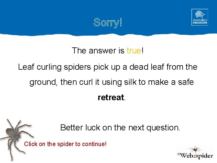 Sorry! The answer is true! Leaf curling spiders pick up a dead leaf from