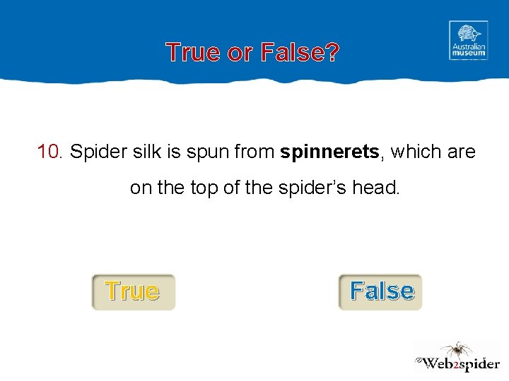 True or False? 10. Spider silk is spun from spinnerets, which are on the