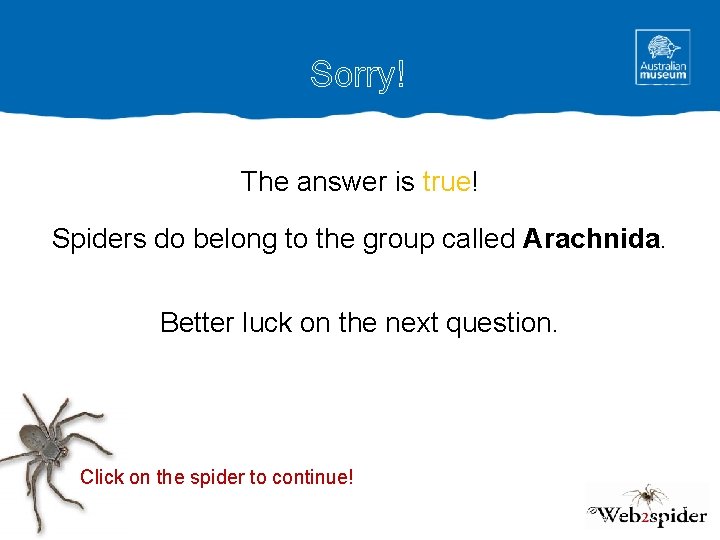 Sorry! The answer is true! Spiders do belong to the group called Arachnida. Better