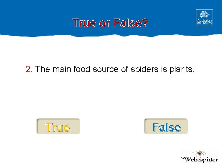 True or False? 2. The main food source of spiders is plants. True False