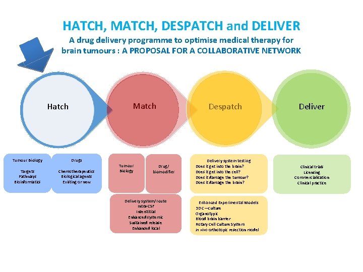 HATCH, MATCH, DESPATCH and DELIVER A drug delivery programme to optimise medical therapy for