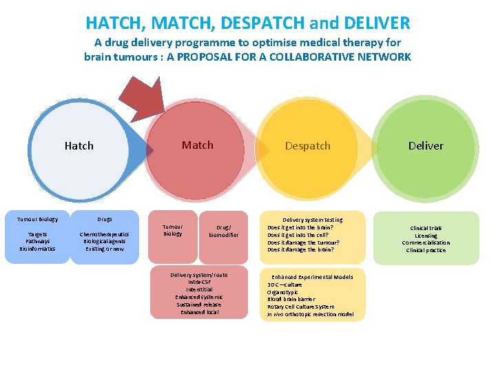 HATCH, MATCH, DESPATCH and DELIVER A drug delivery programme to optimise medical therapy for