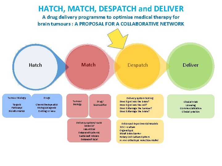 HATCH, MATCH, DESPATCH and DELIVER A drug delivery programme to optimise medical therapy for