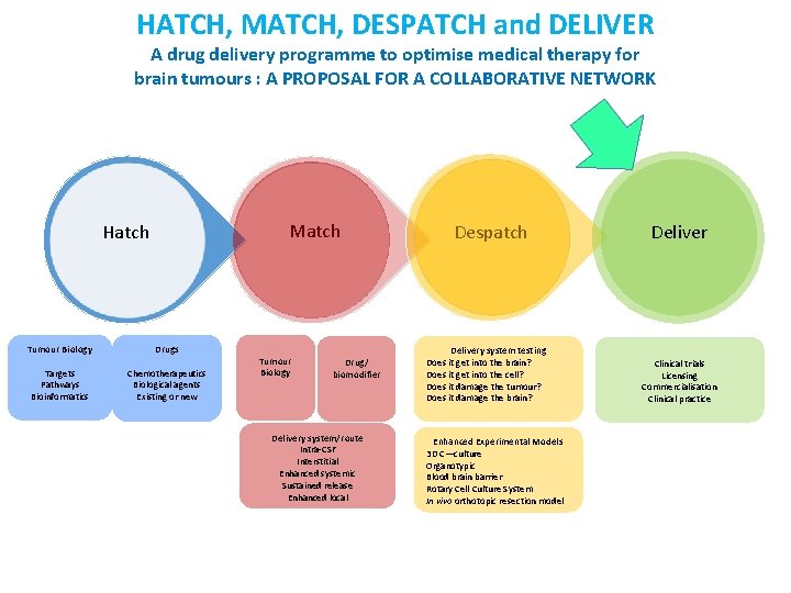 HATCH, MATCH, DESPATCH and DELIVER A drug delivery programme to optimise medical therapy for