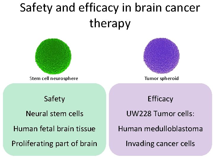 Safety and efficacy in brain cancer therapy Stem cell neurosphere Tumor spheroid Safety Efficacy