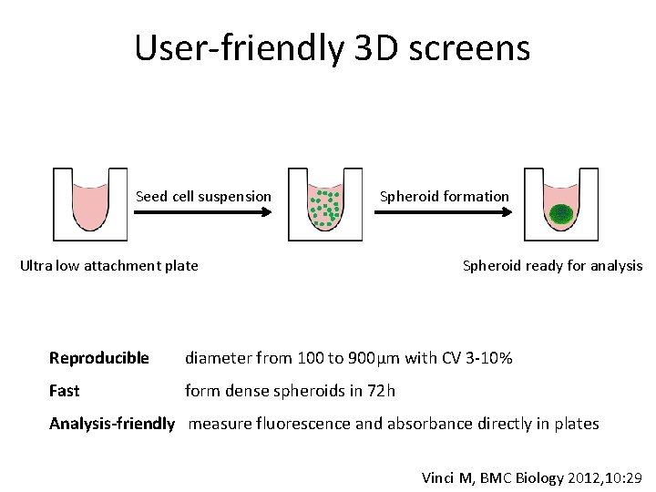 User-friendly 3 D screens Seed cell suspension Spheroid formation Ultra low attachment plate Spheroid