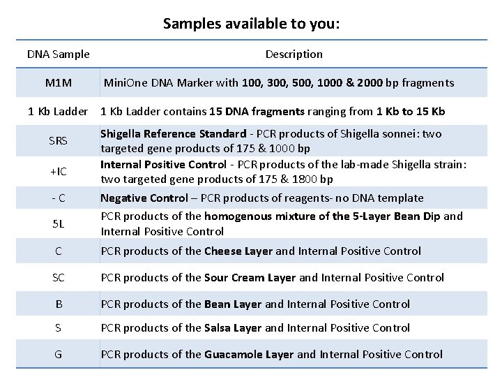 Samples available to you: DNA Sample M 1 M Description Mini. One DNA Marker
