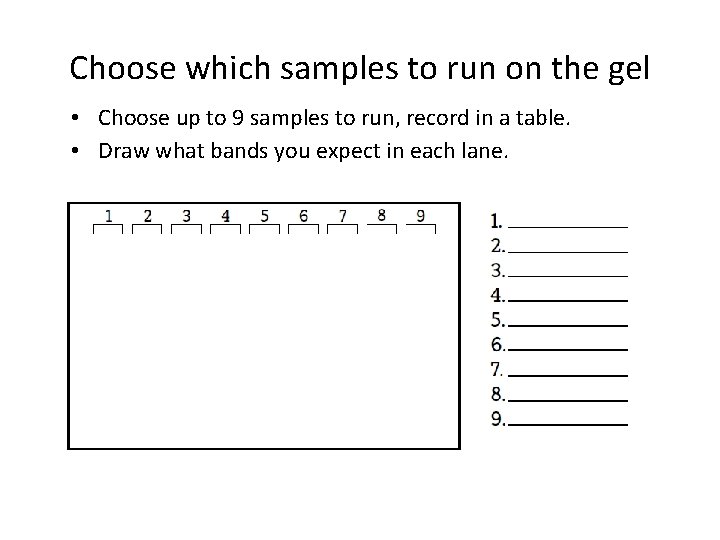 Choose which samples to run on the gel • Choose up to 9 samples