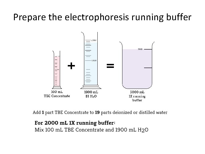 Prepare the electrophoresis running buffer 
