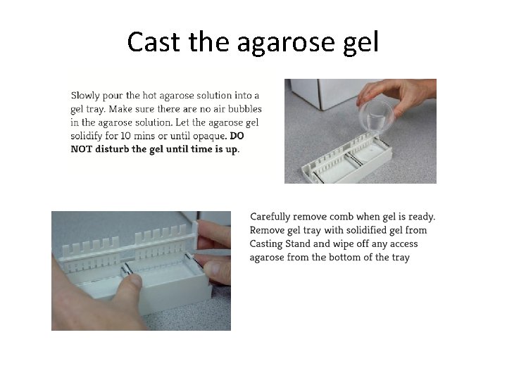 Cast the agarose gel 