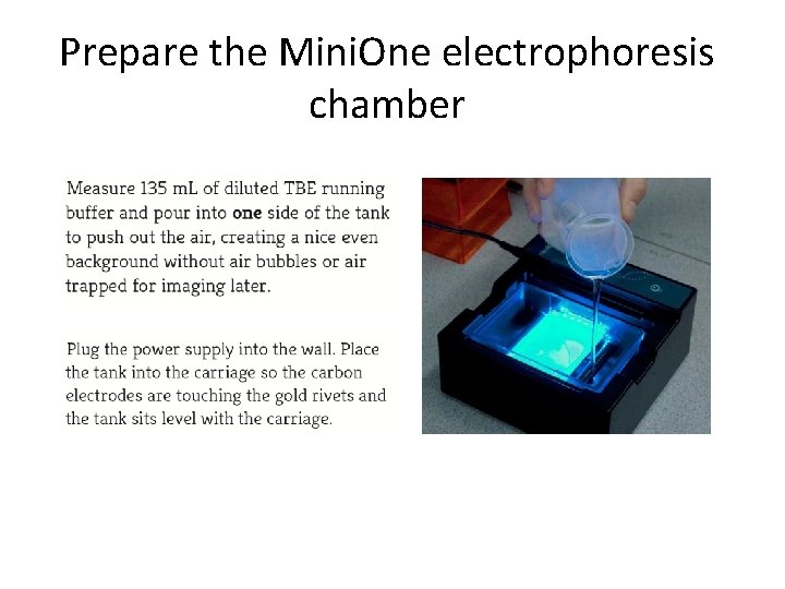 Prepare the Mini. One electrophoresis chamber 