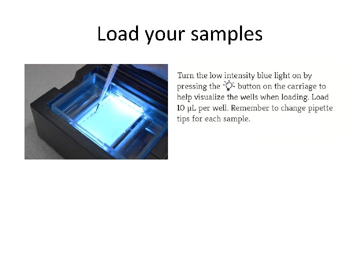 Load your samples 