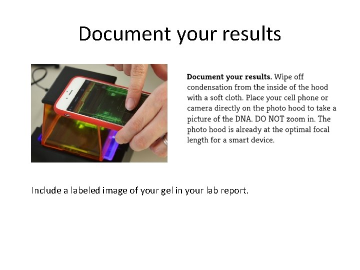 Document your results Include a labeled image of your gel in your lab report.
