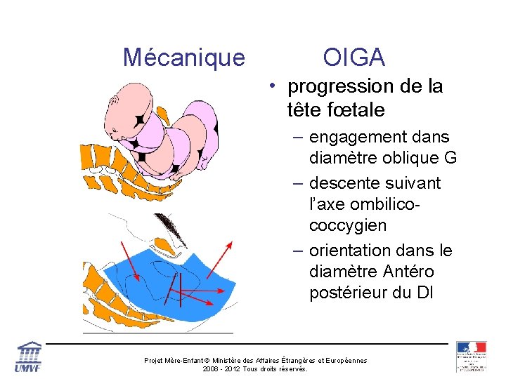 Mécanique OIGA • progression de la tête fœtale – engagement dans diamètre oblique G