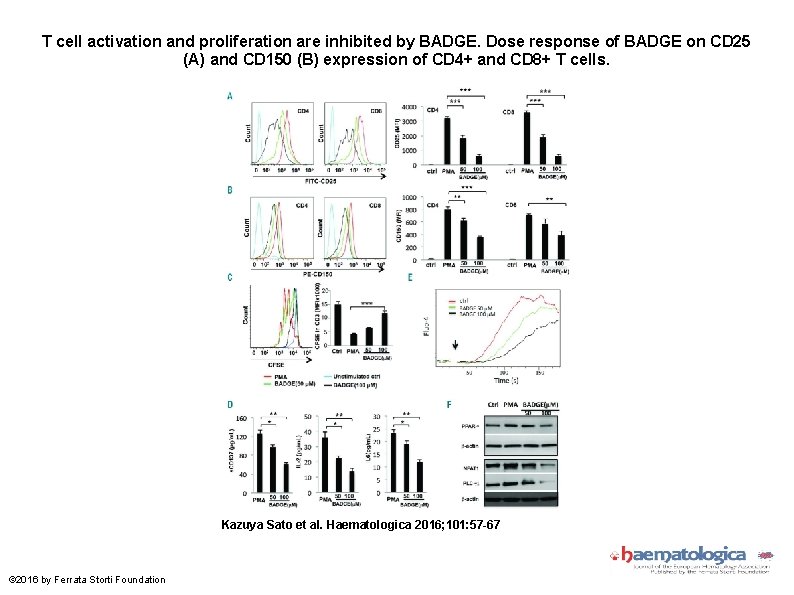T cell activation and proliferation are inhibited by BADGE. Dose response of BADGE on