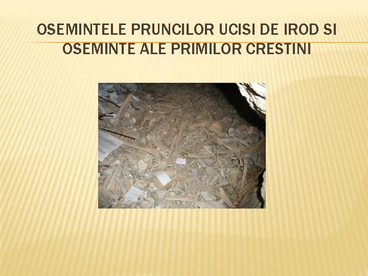 OSEMINTELE PRUNCILOR UCISI DE IROD SI OSEMINTE ALE PRIMILOR CRESTINI 