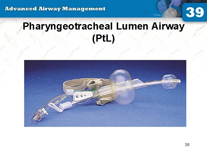 Pharyngeotracheal Lumen Airway (Pt. L) 38 