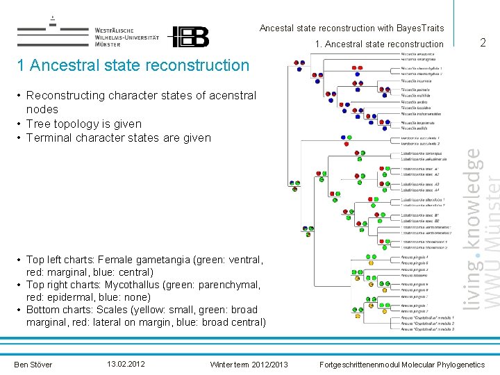 Ancestal state reconstruction with Bayes. Traits 1. Ancestral state reconstruction 2 1 Ancestral state