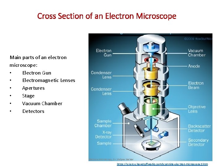 Cross Section of an Electron Microscope Main parts of an electron microscope: • Electron Cross Section of an Electron Microscope Main parts of an electron microscope: • Electron