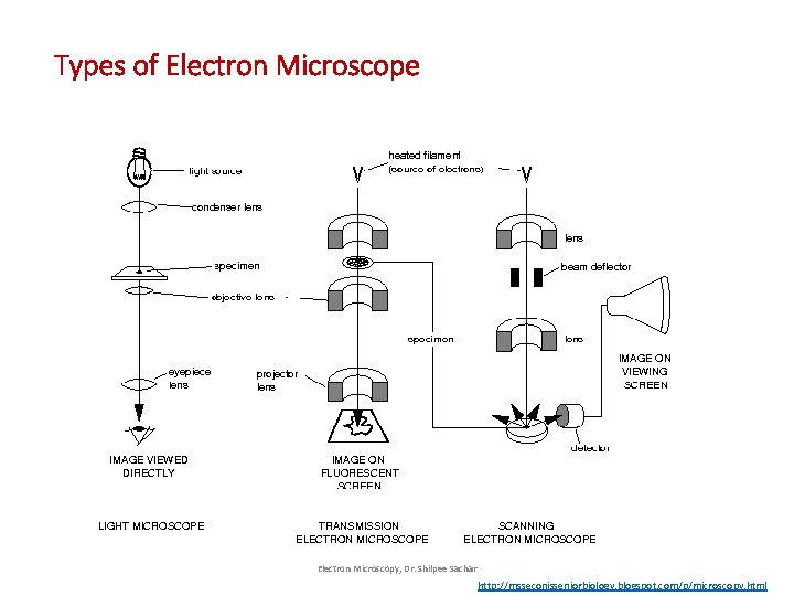 Types of Electron Microscope Electron Microscopy, Dr. Shilpee Sachar http: //msseconisseniorbiology. blogspot. com/p/microscopy. html Types of Electron Microscope Electron Microscopy, Dr. Shilpee Sachar http: //msseconisseniorbiology. blogspot. com/p/microscopy. html