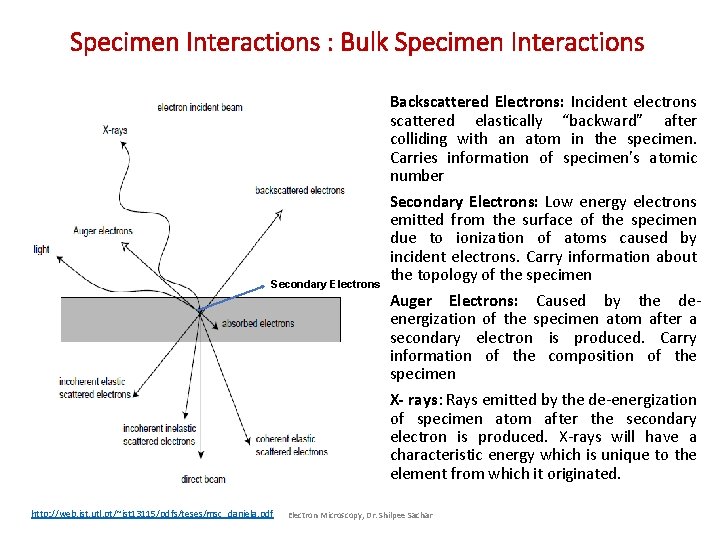 Specimen Interactions : Bulk Specimen Interactions • Backscattered Electrons: Incident electrons scattered elastically “backward” Specimen Interactions : Bulk Specimen Interactions • Backscattered Electrons: Incident electrons scattered elastically “backward”