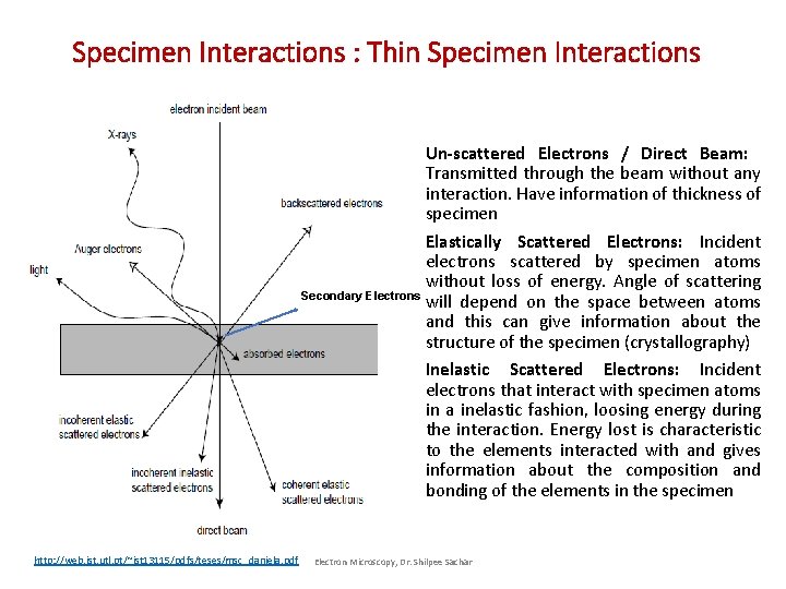 Specimen Interactions : Thin Specimen Interactions • Un-scattered Electrons / Direct Beam: Transmitted through Specimen Interactions : Thin Specimen Interactions • Un-scattered Electrons / Direct Beam: Transmitted through