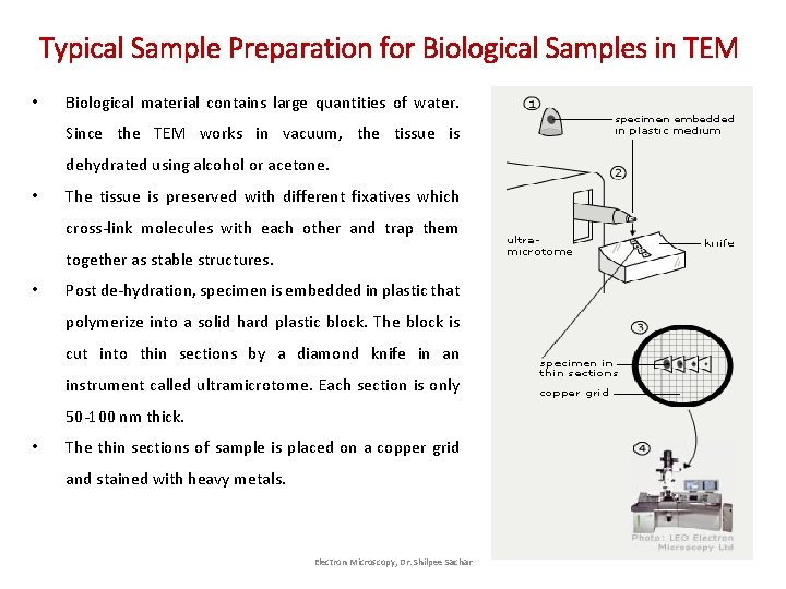 Typical Sample Preparation for Biological Samples in TEM • Biological material contains large quantities Typical Sample Preparation for Biological Samples in TEM • Biological material contains large quantities