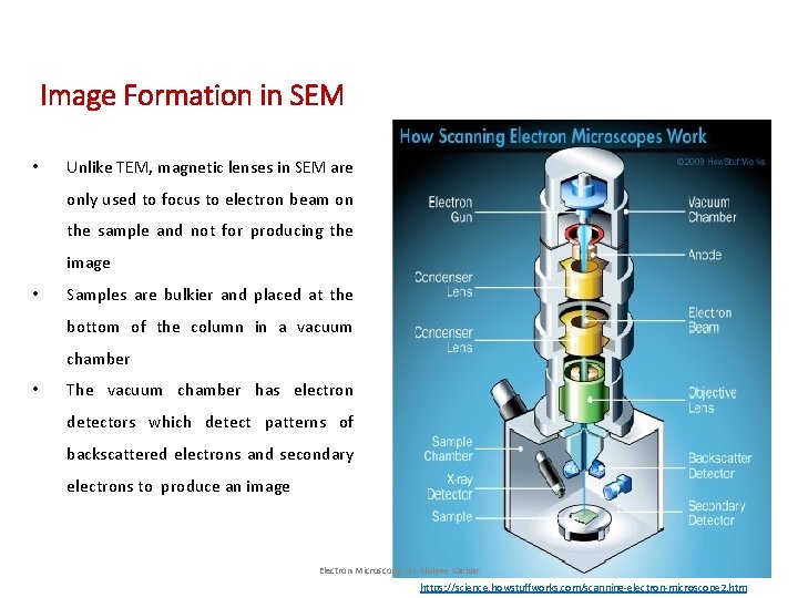 Image Formation in SEM • Unlike TEM, magnetic lenses in SEM are only used Image Formation in SEM • Unlike TEM, magnetic lenses in SEM are only used
