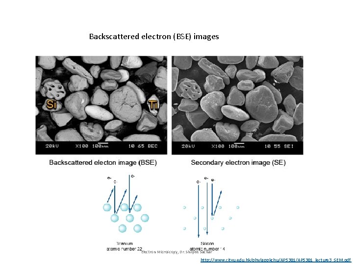 Backscattered electron (BSE) images Electron Microscopy, Dr. Shilpee Sachar http: //www. cityu. edu. hk/phy/appkchu/AP Backscattered electron (BSE) images Electron Microscopy, Dr. Shilpee Sachar http: //www. cityu. edu. hk/phy/appkchu/AP