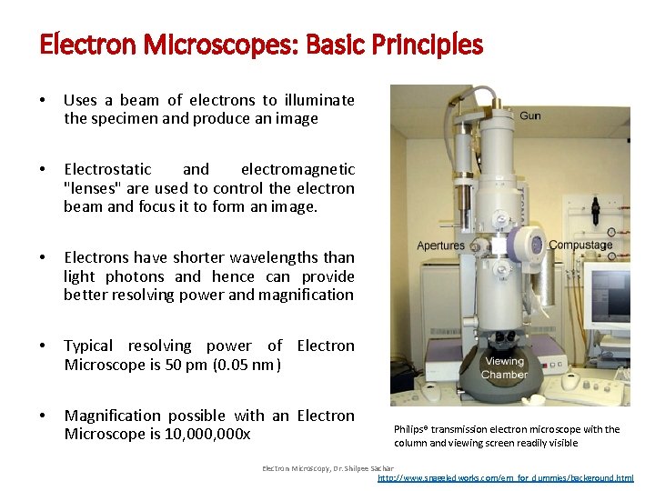 Electron Microscopes: Basic Principles • Uses a beam of electrons to illuminate the specimen Electron Microscopes: Basic Principles • Uses a beam of electrons to illuminate the specimen
