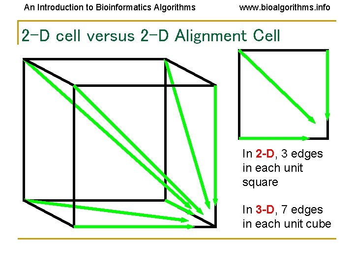 An Introduction to Bioinformatics Algorithms www. bioalgorithms. info 2 -D cell versus 2 -D